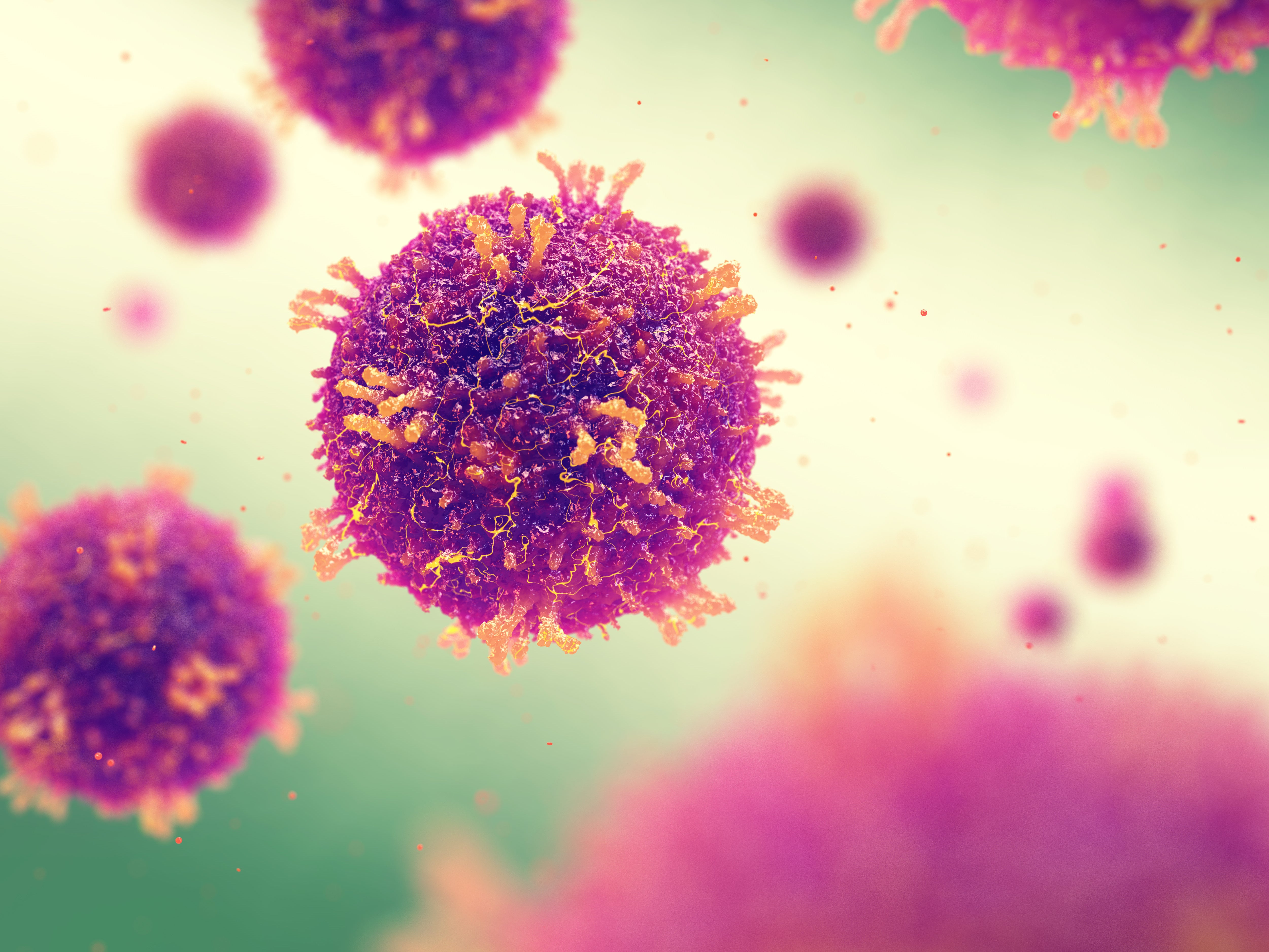 Measles Virus Multiplex Detection Assay